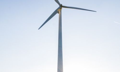 Hoe groen is jouw zakelijke energieleverancier?